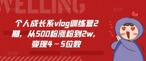个人成长系vlog训练营2期，从500粉涨粉到2w，变现4～5位数-聊项目
