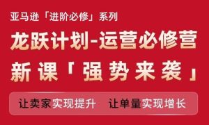 亚马逊进阶必修系列，龙跃计划-运营必修营新课，让卖家实现提升 让单量实现增长-聊项目