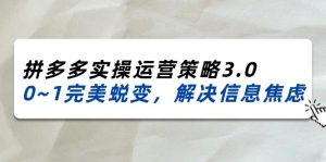 （11658期）2024_2025拼多多实操运营策略3.0，0~1完美蜕变，解决信息焦虑（38节）-聊项目