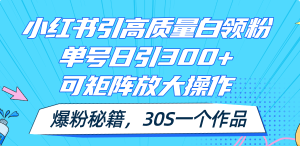 （11692期）小红书引高质量白领粉，单号日引300+，可放大操作，爆粉秘籍！30s一个作品-聊项目