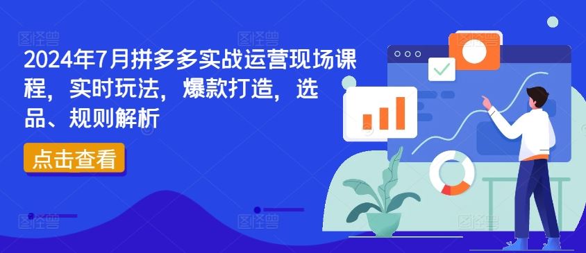 2024年7月拼多多实战运营现场课程，实时玩法，爆款打造，选品、规则解析-聊项目