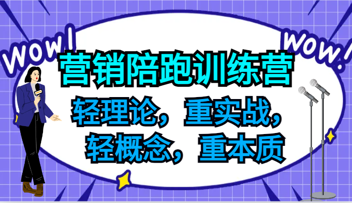 营销陪跑训练营，轻理论，重实战，轻概念，重本质，适合中小企业和初创企业的老板-聊项目