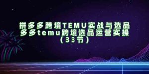 拼多多跨境TEMU实战与选品，多多temu跨境选品运营实操（33节）-聊项目