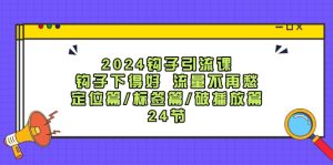 2024钩子引流课：钩子下得好流量不再愁，定位篇/标签篇/破播放篇/24节-聊项目