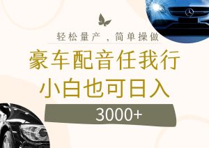 （12206期）不为人知的暴力小项目，豪车配音，日入3000+-聊项目