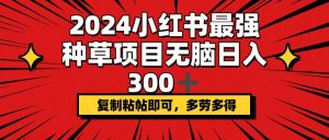 （12336期）2024小红书最强种草项目，无脑日入300+，复制粘帖即可，多劳多得-聊项目