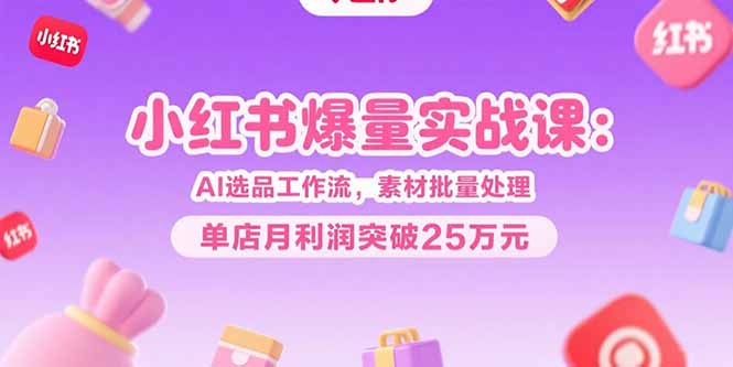 小红书爆量实战课：AI选品工作流，素材批量处理，单店月利润突破25万元-聊项目