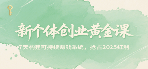 新个体创业黄金课，7天构建可持续赚钱系统，抢占2025红利-聊项目