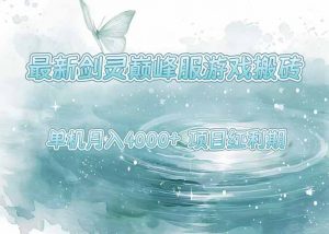 最新剑灵巅峰服游戏搬砖，项目红利期，单机稳定4000+操作简单好上手-聊项目