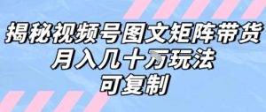 解密视频号图文矩阵带货，月入几个W的打法，可复制-聊项目