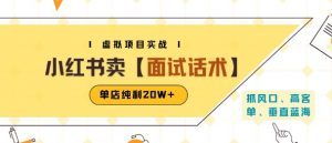 小红书虚拟项目掘金，卖面试话术资料，单店纯利20W+(附爆款笔记制作方法)-聊项目