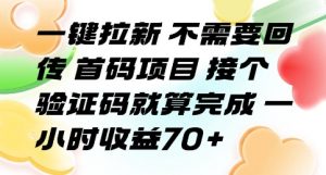 一键拉新 不需要回传 首码项目 接个验证码就算完成 一小时收益70+【揭秘】-聊项目