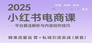 2025小红书电商课：解析算法，创作高转化内容，助力卖家获取流量实现变现(录音)-聊项目