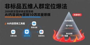 非标品五维人群定位法，2000款滚雪球运营策略，AI内容营销10万流量引爆-聊项目