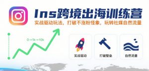 Ins跨境出海训练营，实战驱动玩法，打破不涨粉怪象，玩转社媒自然流量-聊项目