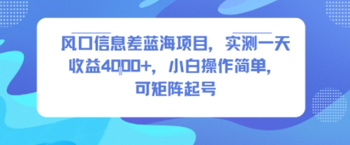 风口信息差蓝海项目，实测一天收益4k+，小白操作简单，可矩阵起号-聊项目