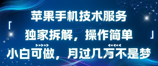 苹果手机技术服务，独家拆解，操作简单，小白可做，月过1W不是梦-聊项目