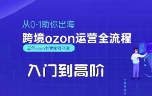 OZON入门到高阶全流程，从0-1助你出海，跨境ozon运营全流程-聊项目