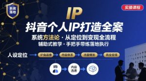 抖音个人IP系统落地实操大课，实操课程，辅助落地-聊项目