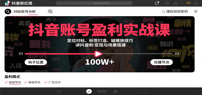 抖音账号盈利实战课，定位对标、标签打造、破播放技巧，讲涨粉变现与场景搭建-聊项目