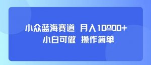 小众蓝海赛道，小白可做，操作简单，每天30分钟，月入1W+-聊项目