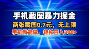 手机截图暴力掘金，两张截图0.7米，一部手机就能做，轻松日入3张+【揭秘】-聊项目