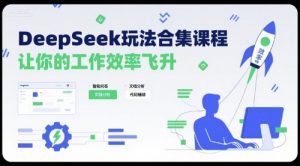 DeepSeek玩法合集课程，让你的工作效率飞升-聊项目