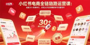 小红书电商全链路运营课：涵盖30+实操单元，实现从开店到爆款账号完整闭环-聊项目