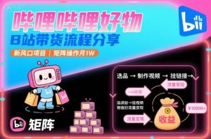 哔哩哔哩好物，B站带货流程分享，新风口项目，矩阵操作月1W-聊项目