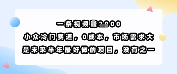 一条视频挣1k，小众冷门赛道，0成本，市场需求大，是未来半年最好做的项目，没有之一-聊项目
