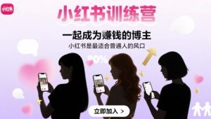 小红书训练营一起成为賺钱的博主，小红书是最适合普通人的风口-聊项目