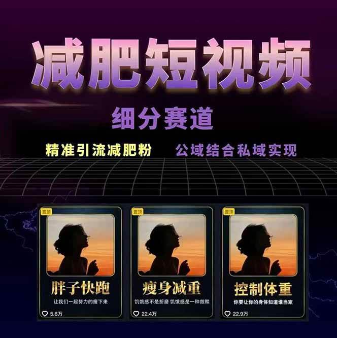 图片[2]-减肥短视频运营实战课：含素材制作、剪映教学，讲精准引流、变现设计与内容模板技巧-聊项目
