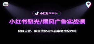 小红书聚光/乘风广告实战课:投放运营、数据优化与抖音本地推全攻略-聊项目