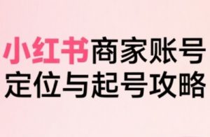 小红书电商全链路实战从定位到爆单，系统拆解小红书商家起号全流程(更新)-聊项目