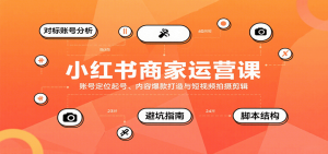 小红书商家运营课，账号定位起号、内容爆款打造与短视频拍摄剪辑-聊项目