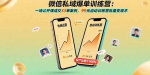微信私域爆单训练营：一场公开课成交33单案例，99元自动训练营批量变现术-聊项目