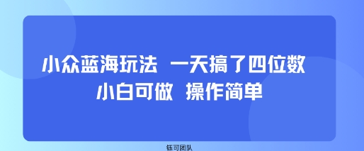 小众蓝海玩法 一天搞了四位数 小白可做 操作简单-聊项目