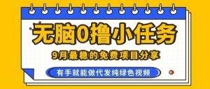 0学费0风险，2025风口项目，无脑免费撸，代发纯绿色视频，一部手机人人可做【揭秘】-聊项目