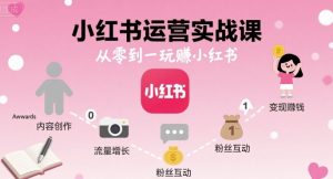 小红书运营实战课，从零到一玩賺小红书-聊项目