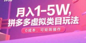 月入1-5W,拼多多虚拟类目玩法,0成本,可矩阵操作-聊项目