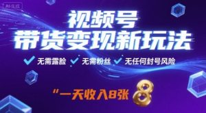 视频号带货变现新玩法,无需露脸,无需粉丝,无任何封号风险,一天收益8张【揭秘】-聊项目