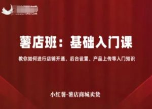 小红薯薯店商城卖货，基础入门课，教你如何进行店铺开通、后台设置、产品上传等入门知识-聊项目