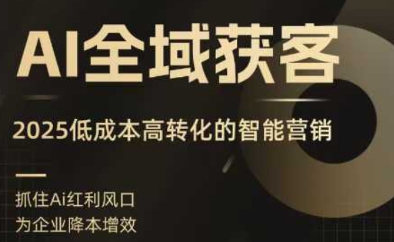 AI全域获客实训营，2025低成本高转化的智能营销，精准找客，高效营销-聊项目