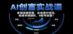 AI创富实战课：企业家IP定位，全域流量获客，低成本组团队，0起号创富！-聊项目