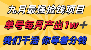 九月最强捡钱项目！ 支付宝分成代运营，我们干活，你分钱！单号月产1w+-聊项目