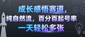 成长感悟赛道，纯自然流，百分百起号率 一天轻松多张-聊项目