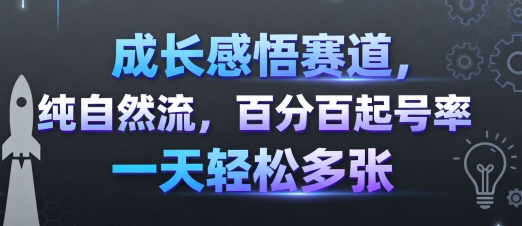 成长感悟赛道，纯自然流，百分百起号率 一天轻松多张-聊项目