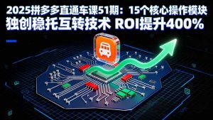 2025拼多多直通车课51期：15个核心操作模块 独创稳托互转技术 ROI提升400%-聊项目