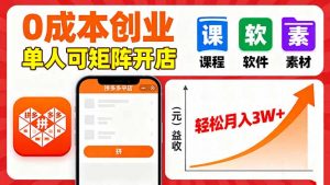 拼多多虚拟电商，0成本，单人可矩阵开店，轻松月入3W+-聊项目