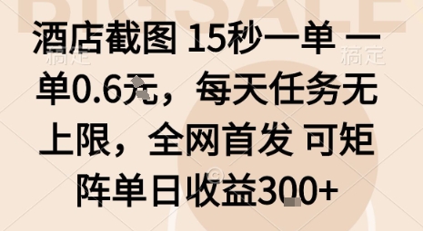 酒店截图15秒一单，一单0.6米，每天任务无上限，全网首发可矩阵单日收益3张【揭秘】-聊项目